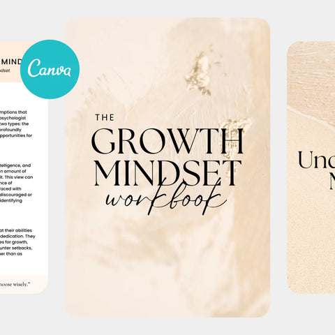 Plan Your Dream Life: Customizable PLR Planners (MRR). Take control of your journey with powerful tools.