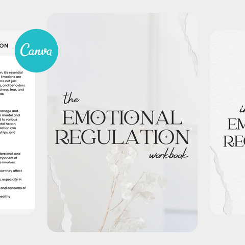 Best Emotional Regulation Planner