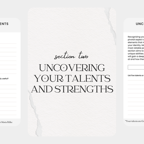 Self Discovery Workbook - PLR & MRR