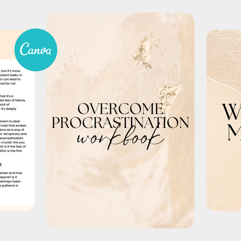 Overcome Procrastination Planner - PLR & MRR License