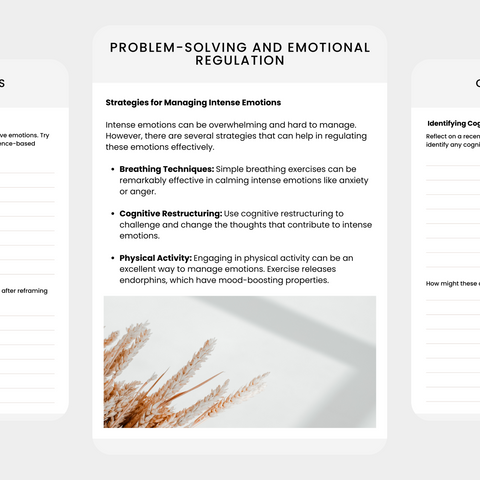 Emotional Regulation Planner