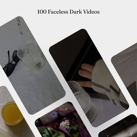 350+ Faceless Videos | PLR Digital Products