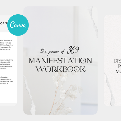 Manifestation 369 Planner