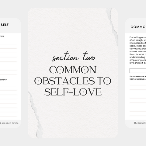 Self Love Workbook with PLR & MRR rights