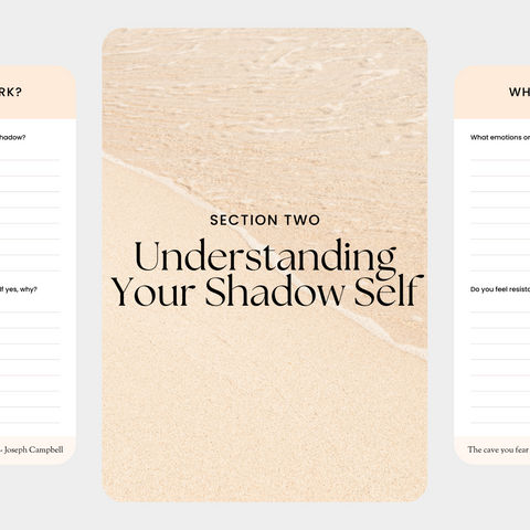 Shadow Work Journal with PLR & MRR